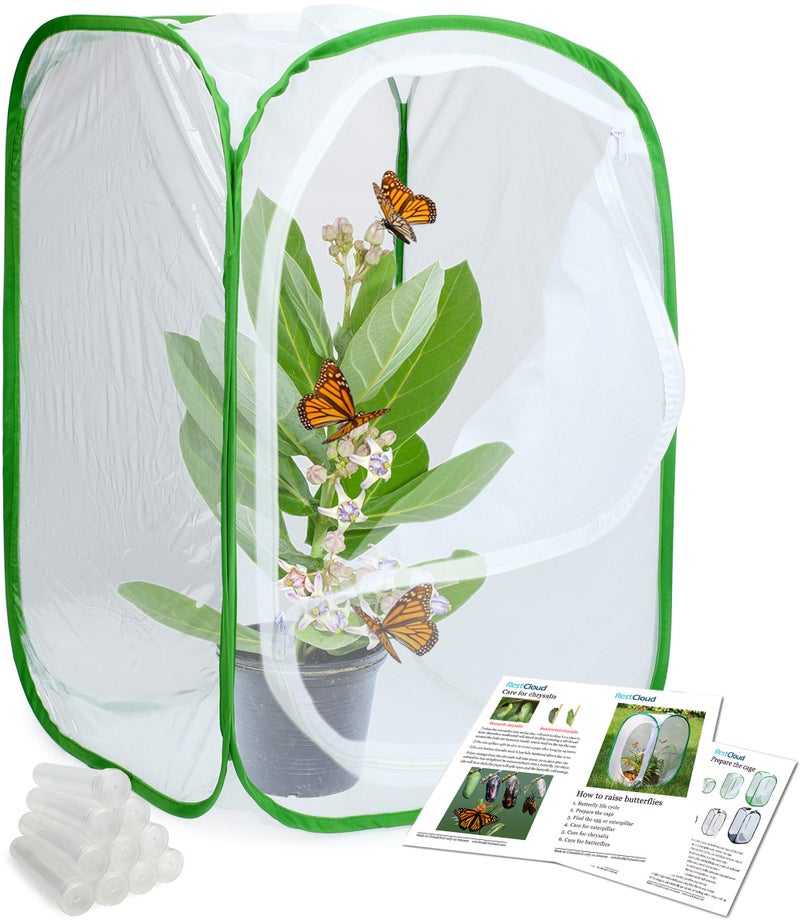 RESTCLOUD Insect and Butterfly Habitat Cage Terrarium Pop-up 24 Inches Tall with 10Pcs 10ML Floral Tubes - Image 1